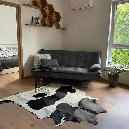 Hexagon Apartman Szeged Extérieur photo
